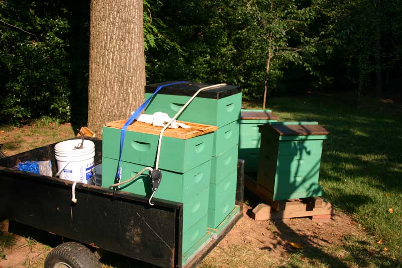 honey cart