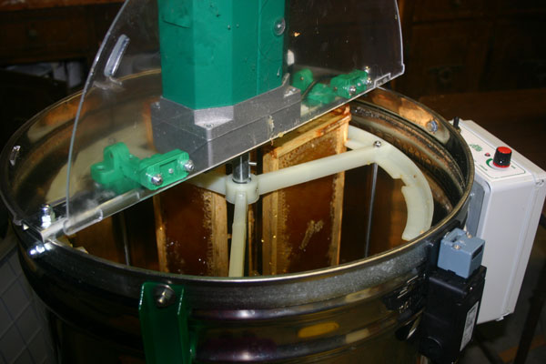 Loading the honey extractor