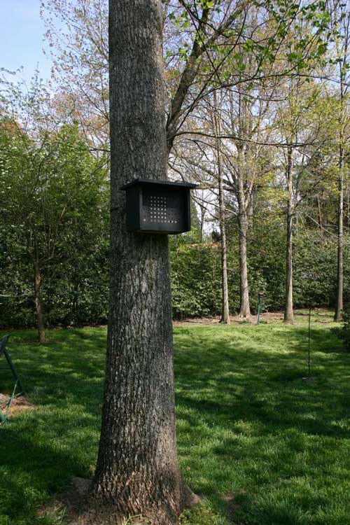 nest box on tree