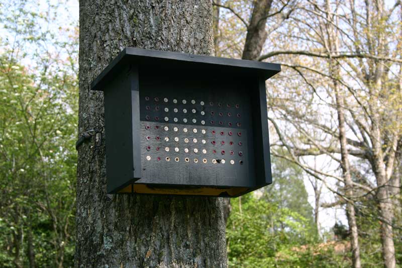 close-up of nest box