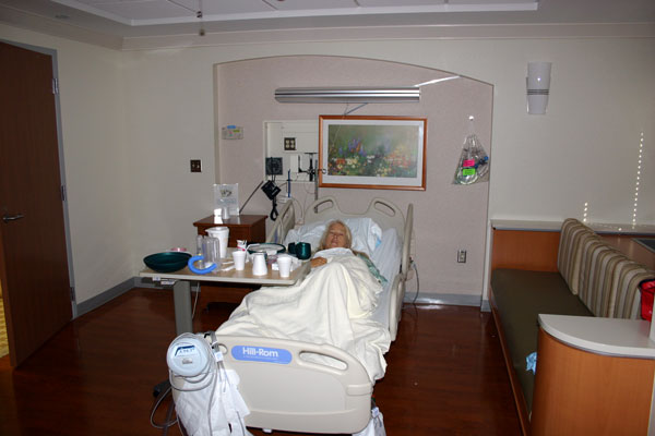 the palatial hospital room