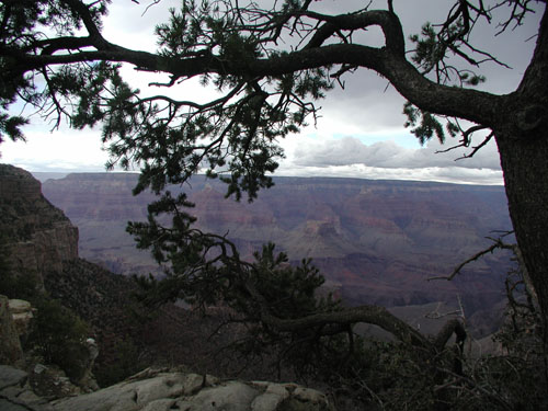 Grand Canyon 5