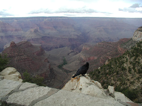 Grand Canyon 6