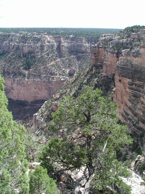 Grand Canyon 12