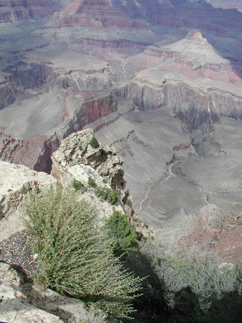 Grand Canyon 16